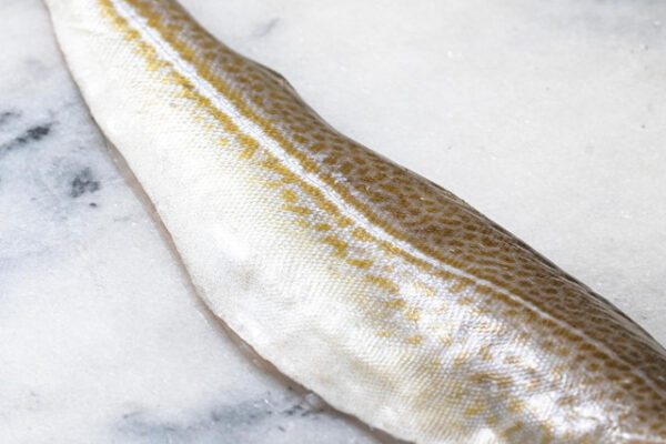 Cod Fillet - Image 2