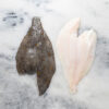 Frozen Plaice Fillets