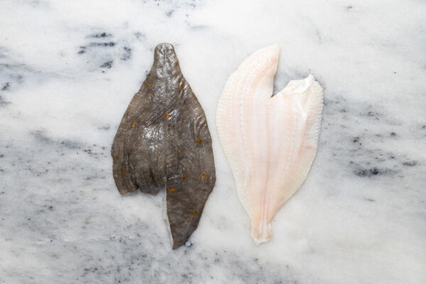 Frozen Plaice Fillets