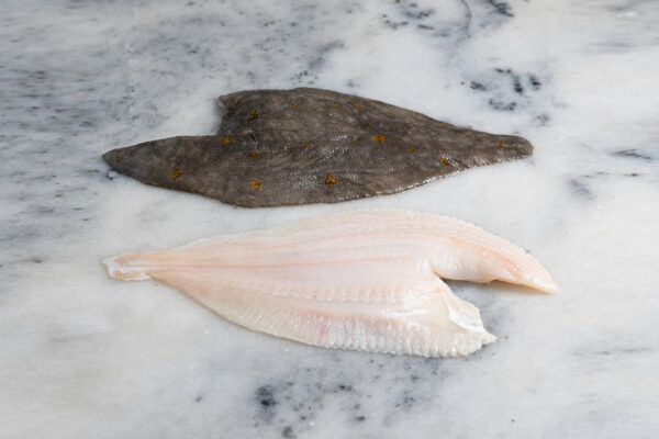 Frozen Plaice Fillets - Image 2