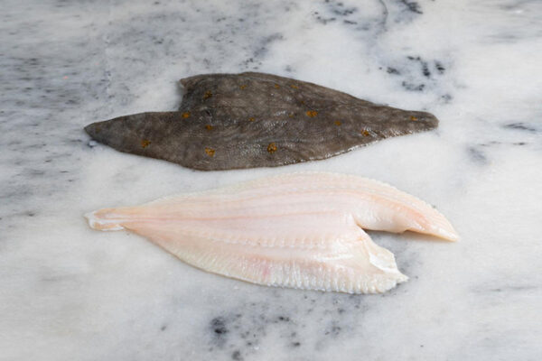 Frozen Plaice Fillets 1kg - Image 3