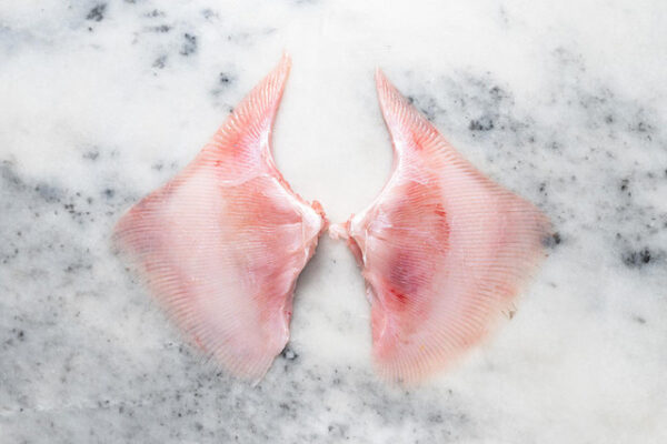 Ray Wings (Skate)