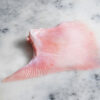 Ray Wings (Skate) - Image 2