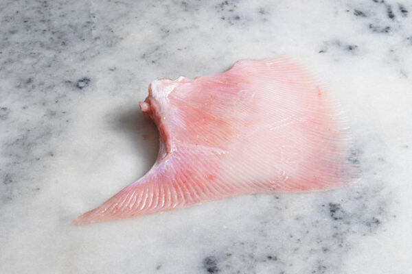 Ray Wings (Skate) - Image 2
