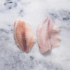 Frozen Tilapia